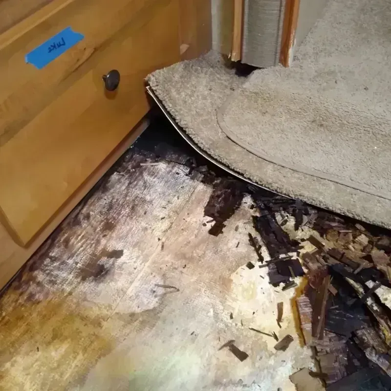 Best Wood Floor Water Damage Service in Sullivan, MO